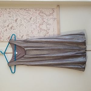 EUC Silver Shimmering Dress